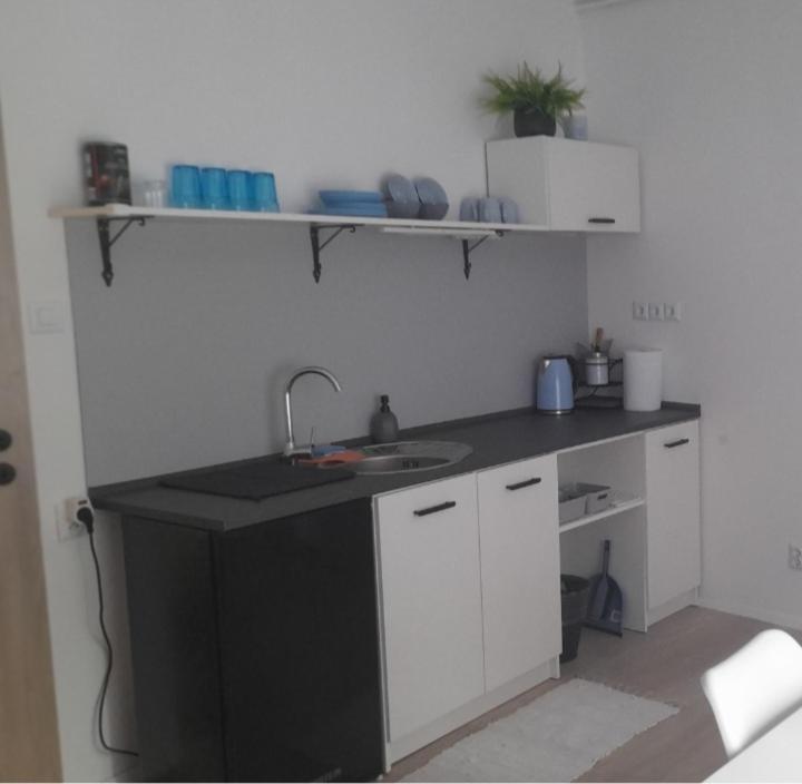 Česká Lípa Apartman Centro מראה חיצוני תמונה