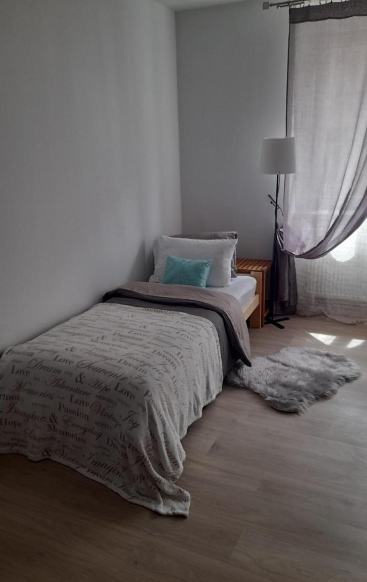 Česká Lípa Apartman Centro מראה חיצוני תמונה